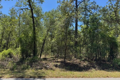 Terrain à vendre à Dunnellon, Floride № 2212556 - photo 6