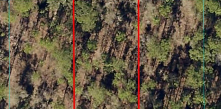 Terrain à Dunnellon, Floride № 2212556