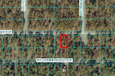Terrain à vendre à Dunnellon, Floride № 2212556 - photo 3