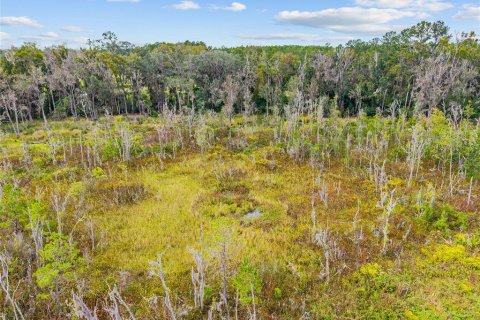 Terreno en venta en Gainesville, Florida № 2312497 - foto 17