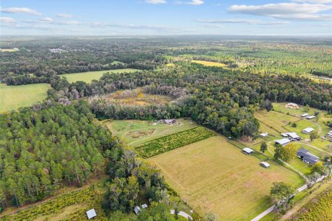 Terreno en venta en Gainesville, Florida № 2312497 - foto 2