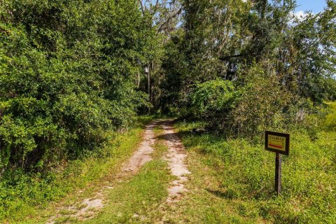 Terreno en venta en Gainesville, Florida № 2312497 - foto 4