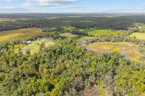 Terreno en venta en Gainesville, Florida № 2312497 - foto 14