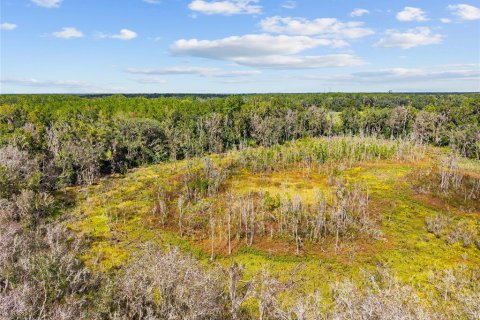 Terreno en venta en Gainesville, Florida № 2312497 - foto 10