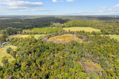 Terreno en venta en Gainesville, Florida № 2312497 - foto 13
