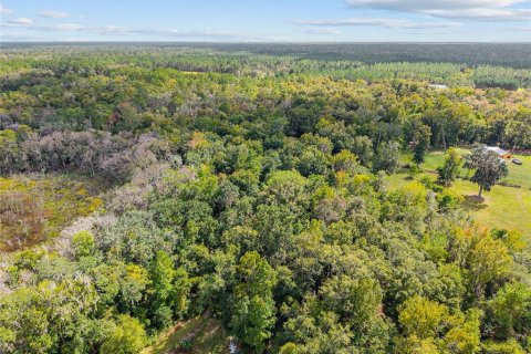 Terreno en venta en Gainesville, Florida № 2312497 - foto 8