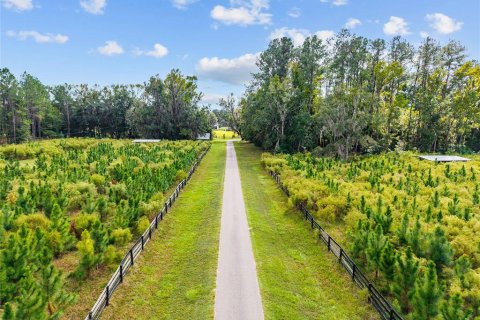Terreno en venta en Gainesville, Florida № 2312497 - foto 3