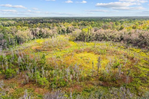 Terreno en venta en Gainesville, Florida № 2312497 - foto 20