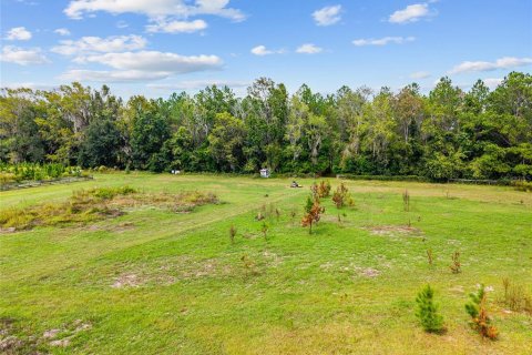 Terreno en venta en Gainesville, Florida № 2312497 - foto 23