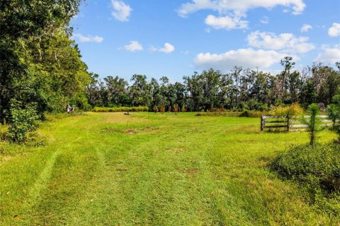 Terreno en venta en Gainesville, Florida № 2312497 - foto 5