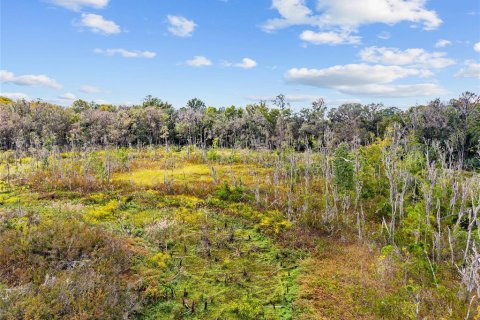 Terreno en venta en Gainesville, Florida № 2312497 - foto 18