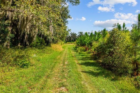 Terreno en venta en Gainesville, Florida № 2312497 - foto 6