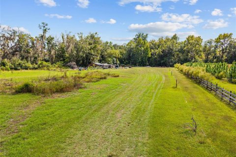 Terreno en venta en Gainesville, Florida № 2312497 - foto 30