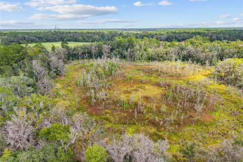 Terreno en venta en Gainesville, Florida № 2312497 - foto 21
