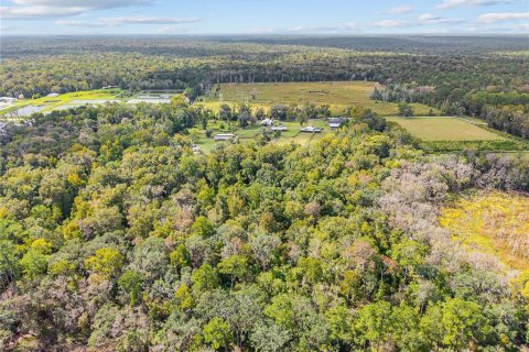Terreno en venta en Gainesville, Florida № 2312497 - foto 15