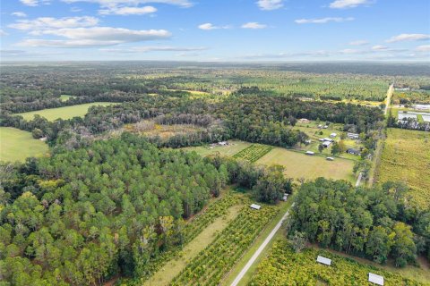 Terreno en Gainesville, Florida № 2312497