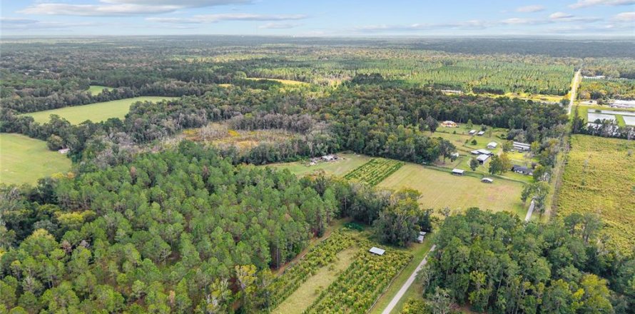 Terreno en Gainesville, Florida № 2312497
