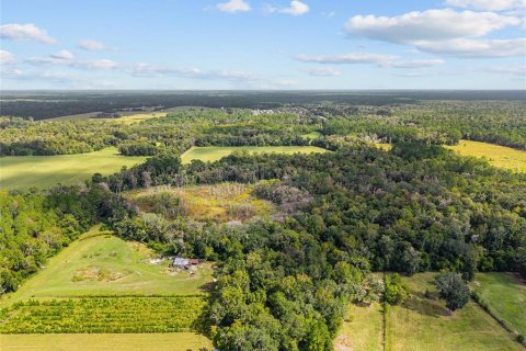 Terreno en venta en Gainesville, Florida № 2312497 - foto 7