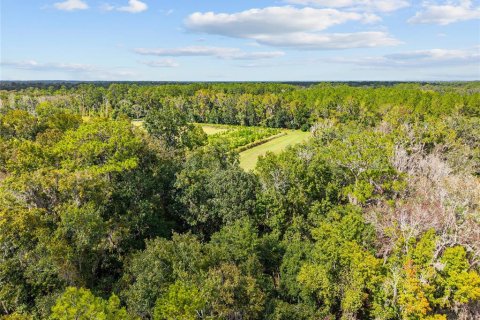 Terreno en venta en Gainesville, Florida № 2312497 - foto 9