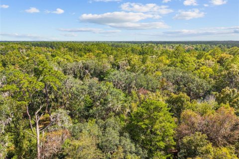 Terreno en venta en Gainesville, Florida № 2312497 - foto 11