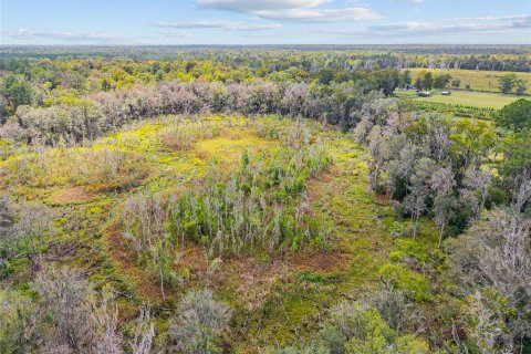 Terreno en venta en Gainesville, Florida № 2312497 - foto 19
