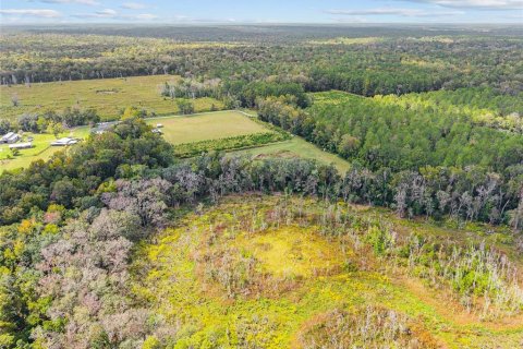 Terreno en venta en Gainesville, Florida № 2312497 - foto 16