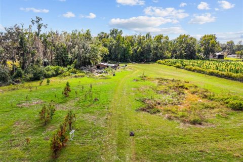 Terreno en venta en Gainesville, Florida № 2312497 - foto 29
