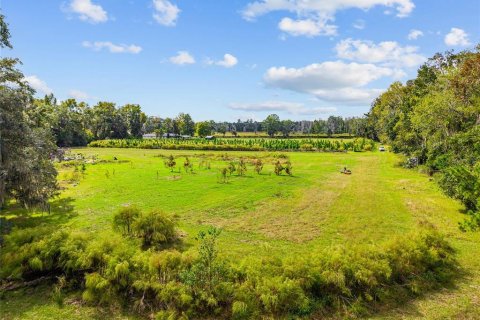 Terreno en venta en Gainesville, Florida № 2312497 - foto 27