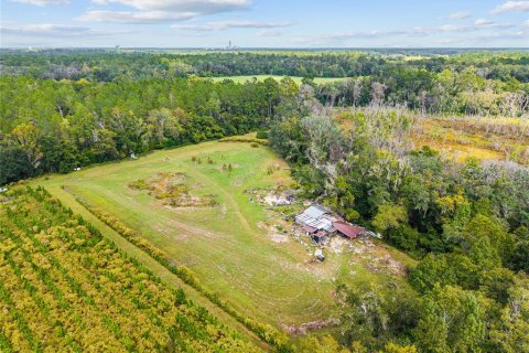 Terreno en venta en Gainesville, Florida № 2312497 - foto 22