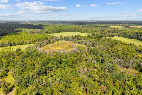 Terreno en venta en Gainesville, Florida № 2312497 - foto 12