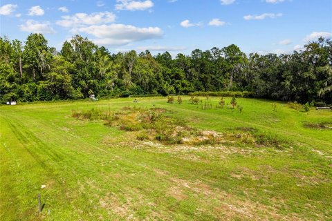 Terreno en venta en Gainesville, Florida № 2312497 - foto 25