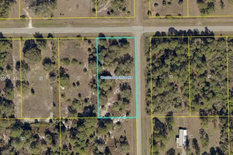 Земельный участок в Клуистон, Флорида № 2024289