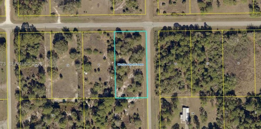 Земельный участок в Клуистон, Флорида № 2024289