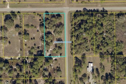 Купить земельный участок в Клуистон, Флорида № 2024289 - фото 2