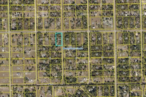 Купить земельный участок в Клуистон, Флорида № 2024289 - фото 4