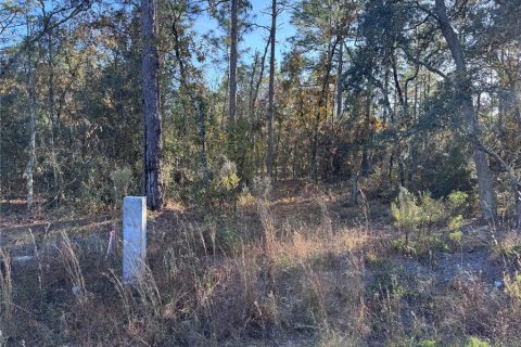 Land in Dunnellon, Florida № 1647703 - photo 1