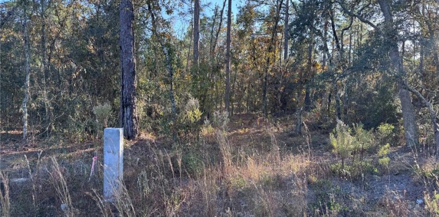 Land in Dunnellon, Florida № 1647703