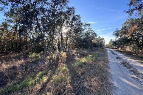 Land in Dunnellon, Florida № 1647703 - photo 3