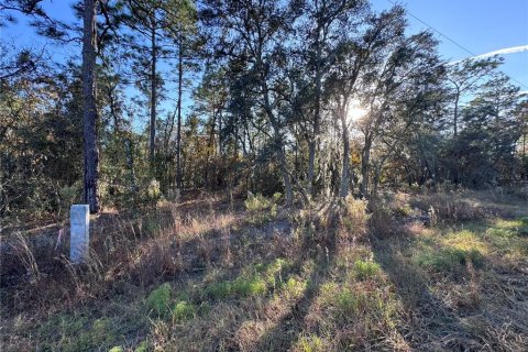 Land in Dunnellon, Florida № 1647703 - photo 2