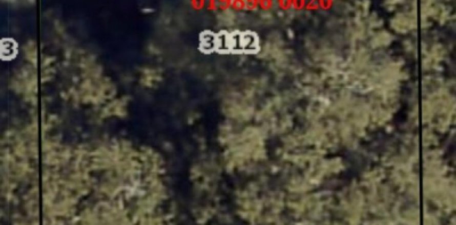 Land in Jacksonville, Florida № 770697