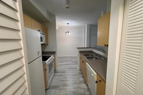 Copropriété à louer à Hollywood, Floride: 1 chambre, 77.29 m2 № 2169029 - photo 7