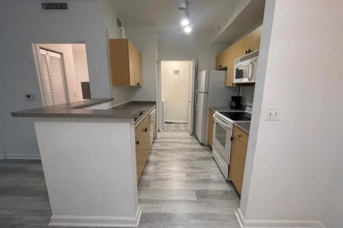 Condo à Hollywood, Floride, 1 chambre  № 2169029