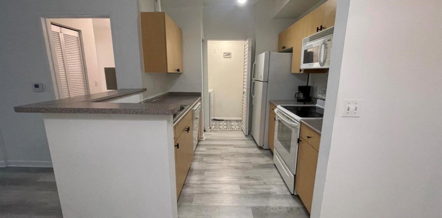 Condo à Hollywood, Floride, 1 chambre  № 2169029