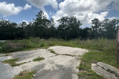 Terrain à vendre à Orlando, Floride № 1846986 - photo 5