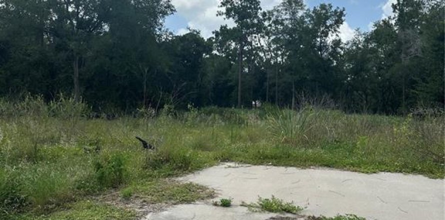 Land in Orlando, Florida № 1846986