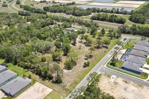 Terreno en venta en Spring Hill, Florida № 1912372 - foto 6