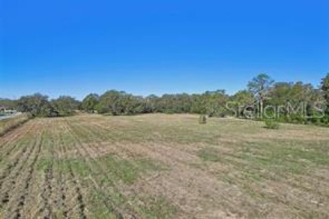 Land in Lakeland, Florida № 2098631