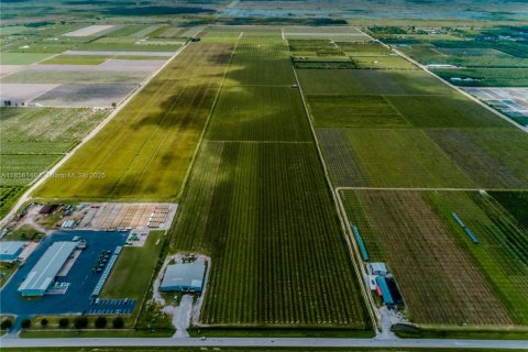 Commercial property in Homestead, Florida № 1882266 - photo 16
