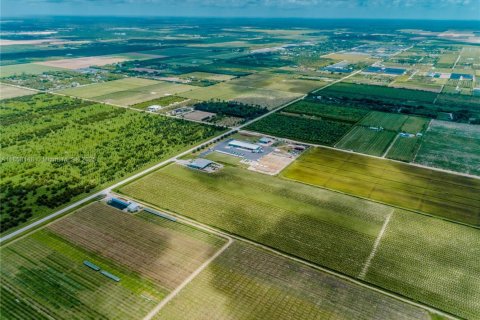 Commercial property in Homestead, Florida № 1882266 - photo 8