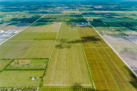 Commercial property in Homestead, Florida № 1882266 - photo 5